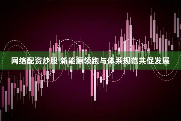 网络配资炒股 新能源领跑与体系规范共促发展