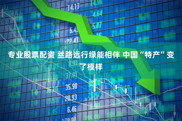 专业股票配资 丝路远行绿能相伴 中国“特产”变了模样
